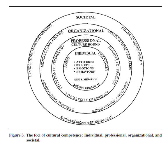 Figure 3. The foci of cultural competence: Individual, professional, organizational, and societal.